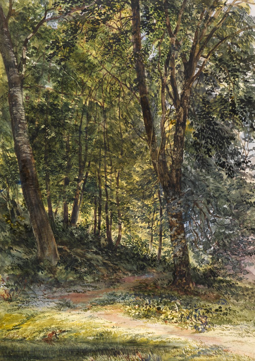 Sonnendurchflutete Wälder, Surrey von Richard Redgrave