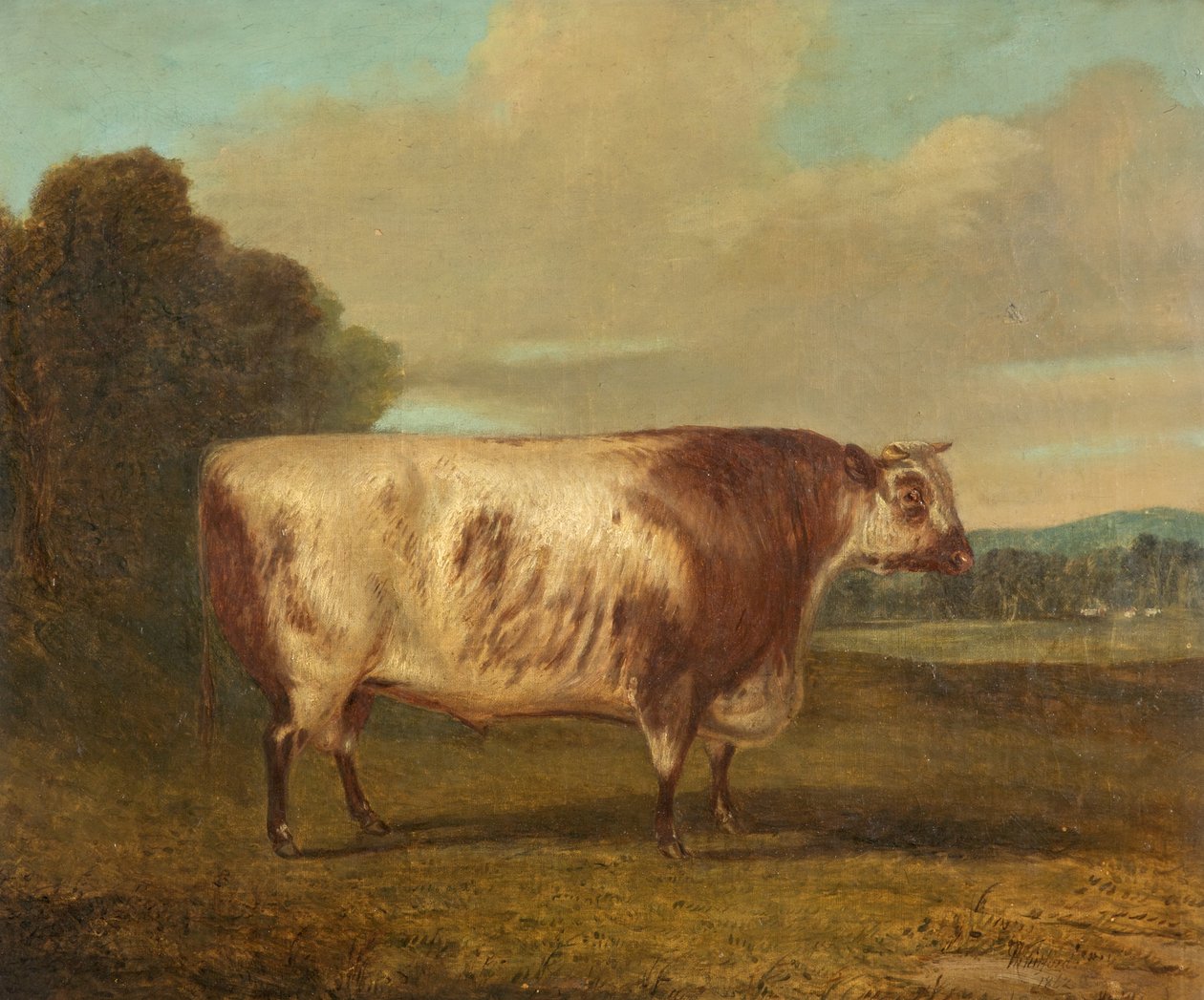 Ein Stier, 1862 von Richard Whitford