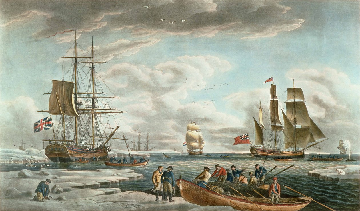 Der Grönland-Walfang, veröffentlicht von John & Josiah Boydell von Robert (after) Dodd