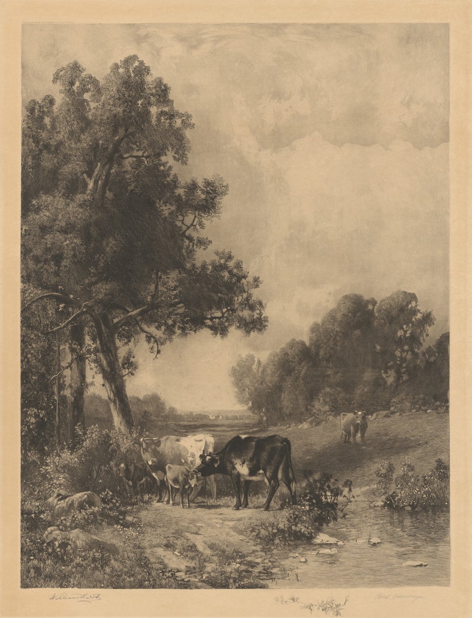 Ohne Titel (Kühe und Kälber an einem Bach) von Robert A. Eichelberger