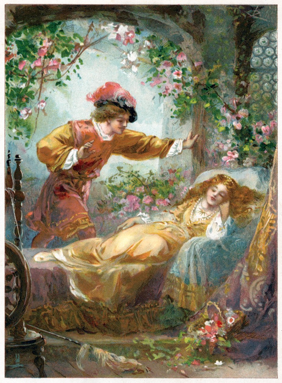 Der Prinz findet Dornröschen, Illustration aus 