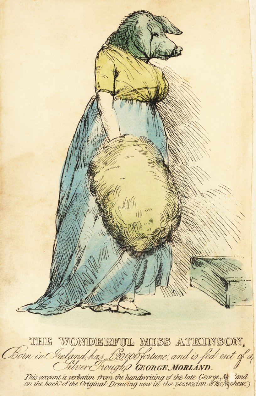 Die Schweinegesichtige Dame, berühmt in London um 1815 von Robert Cooper