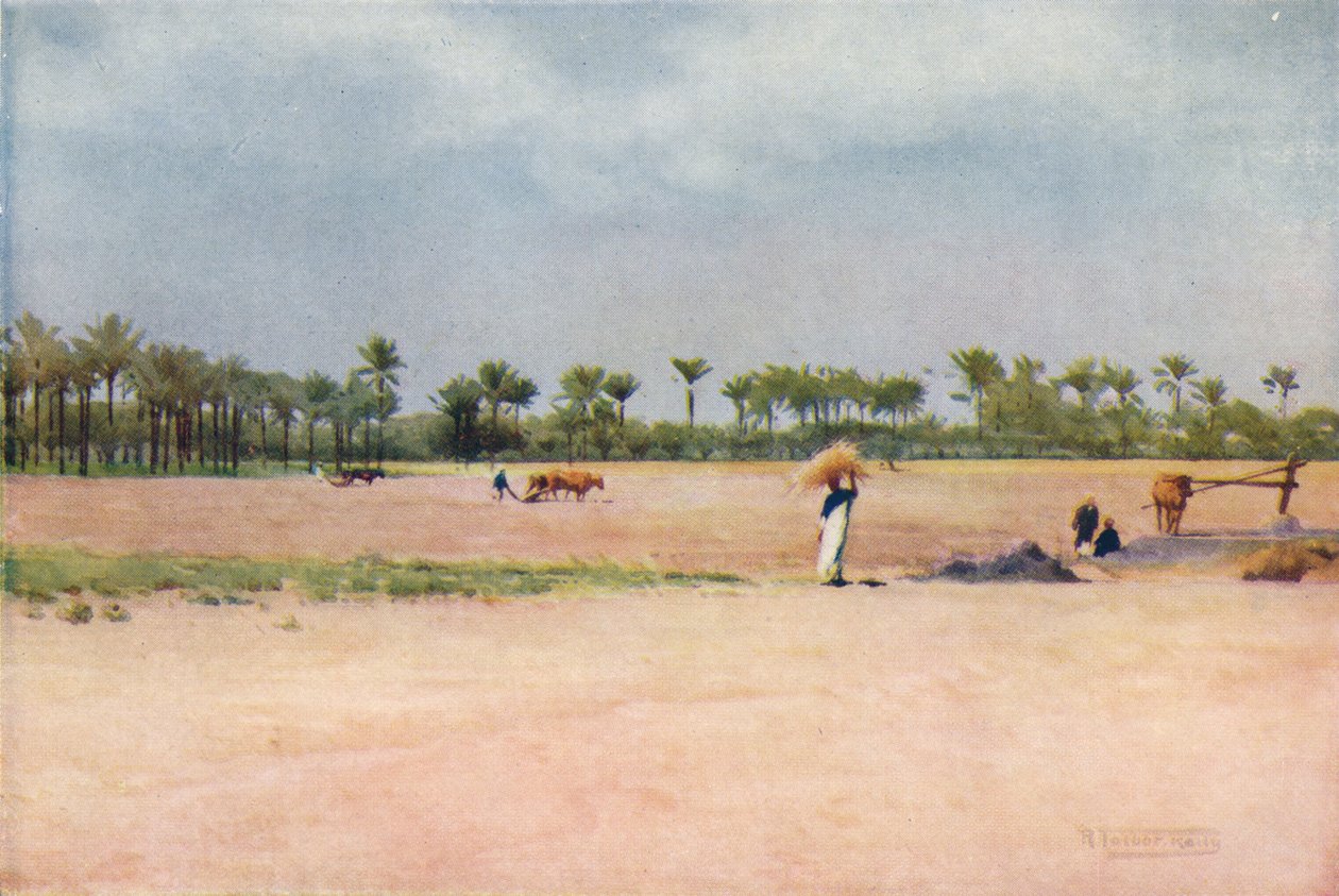 Esbet-El-Ekiad - Land von Goshen, ca. 1880, 1904 von Robert George Talbot Kelly