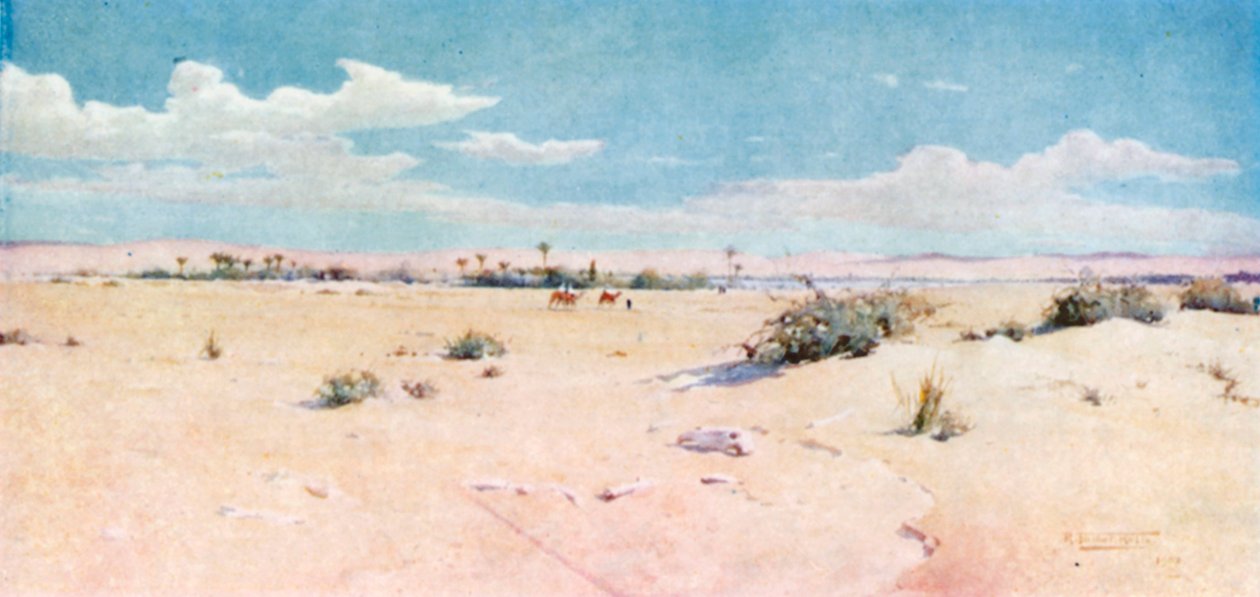 Tel-el-Kebir von Robert George Talbot Kelly