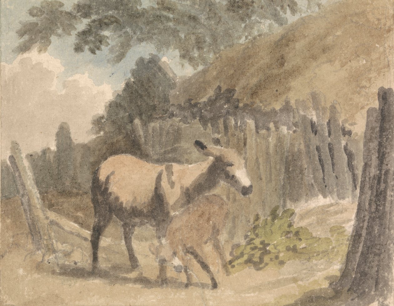 Ein Esel und Fohlen von Robert Hills