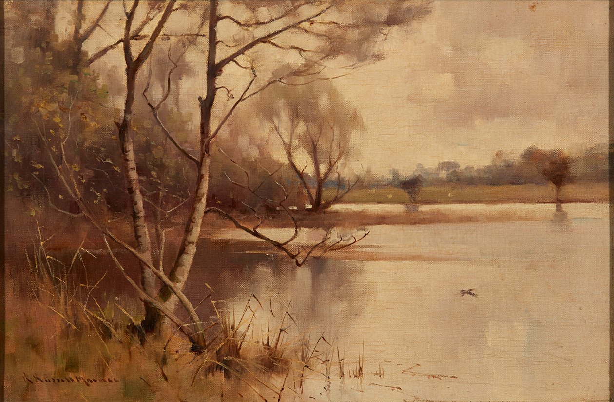 Silberbirke am Seeufer von Robert Russell MacNee