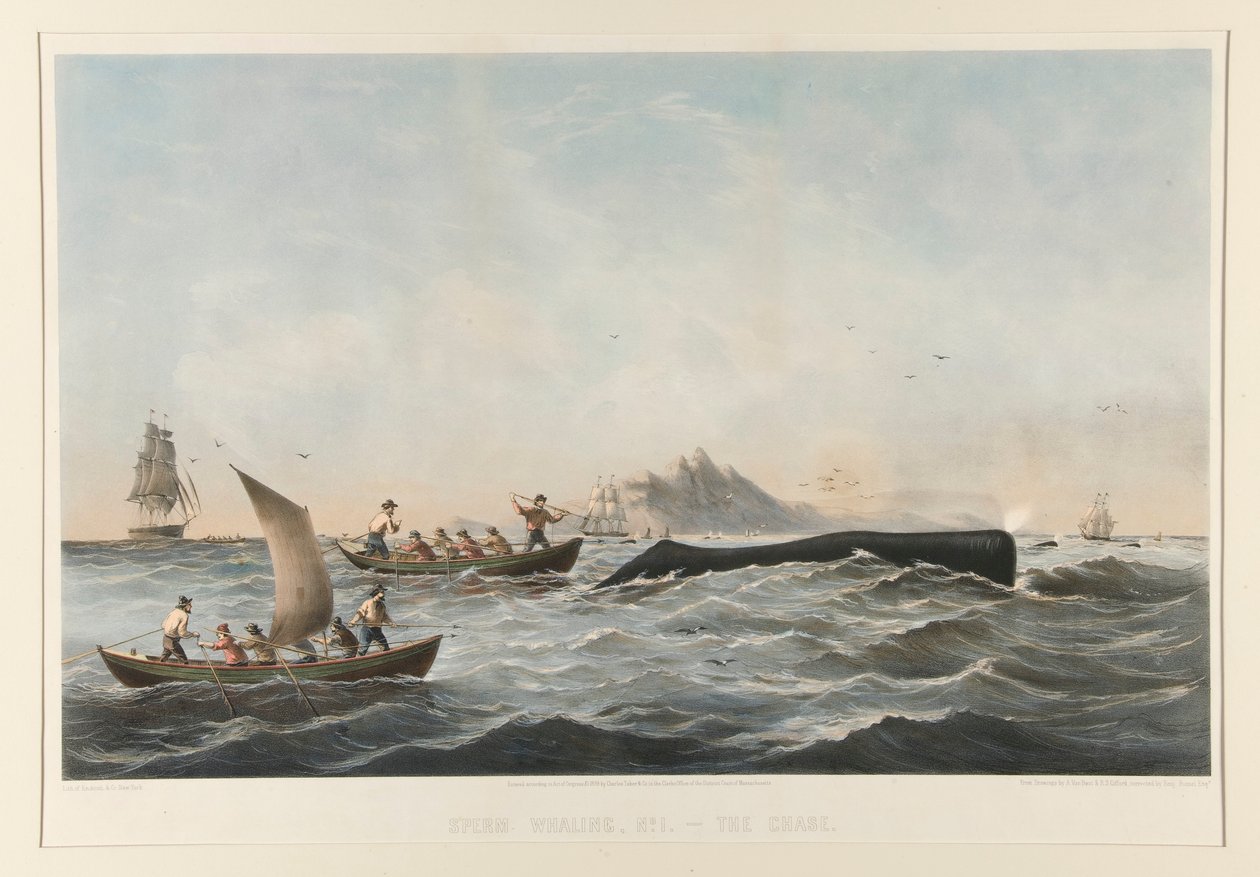Pottwaljagd, Nr. 1 Das Gehäuse von Robert Swain Gifford