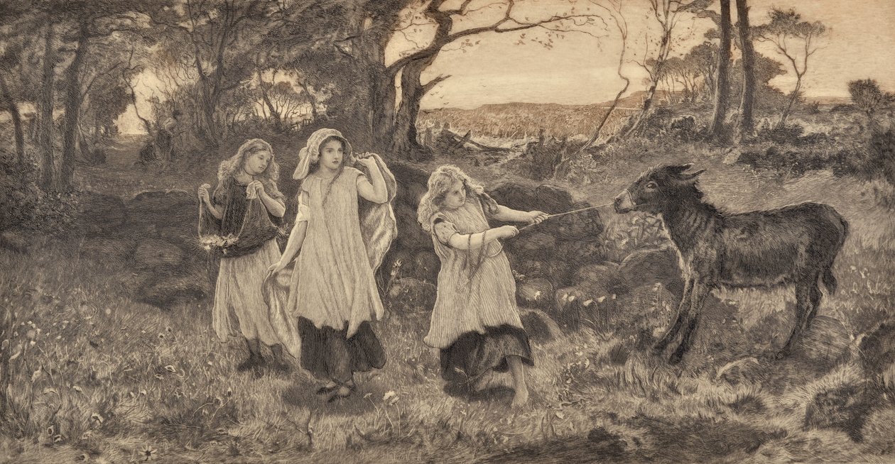 Drei Mädchen und ein Esel von Robert Walker Macbeth