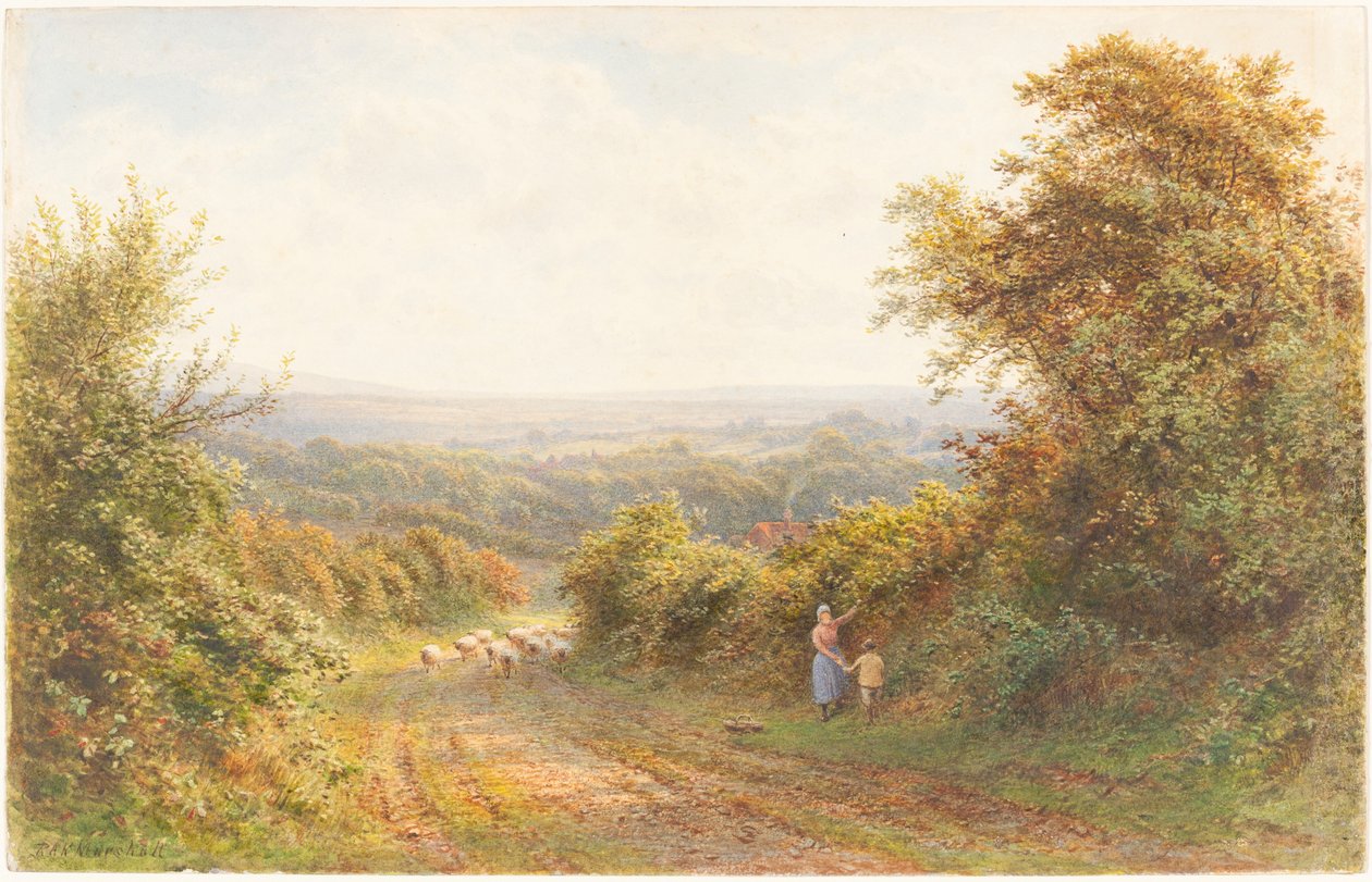 Eichhörnchenweg, nahe Magham Down, Sussex von Roberto Angelo Kittermaster Marshall