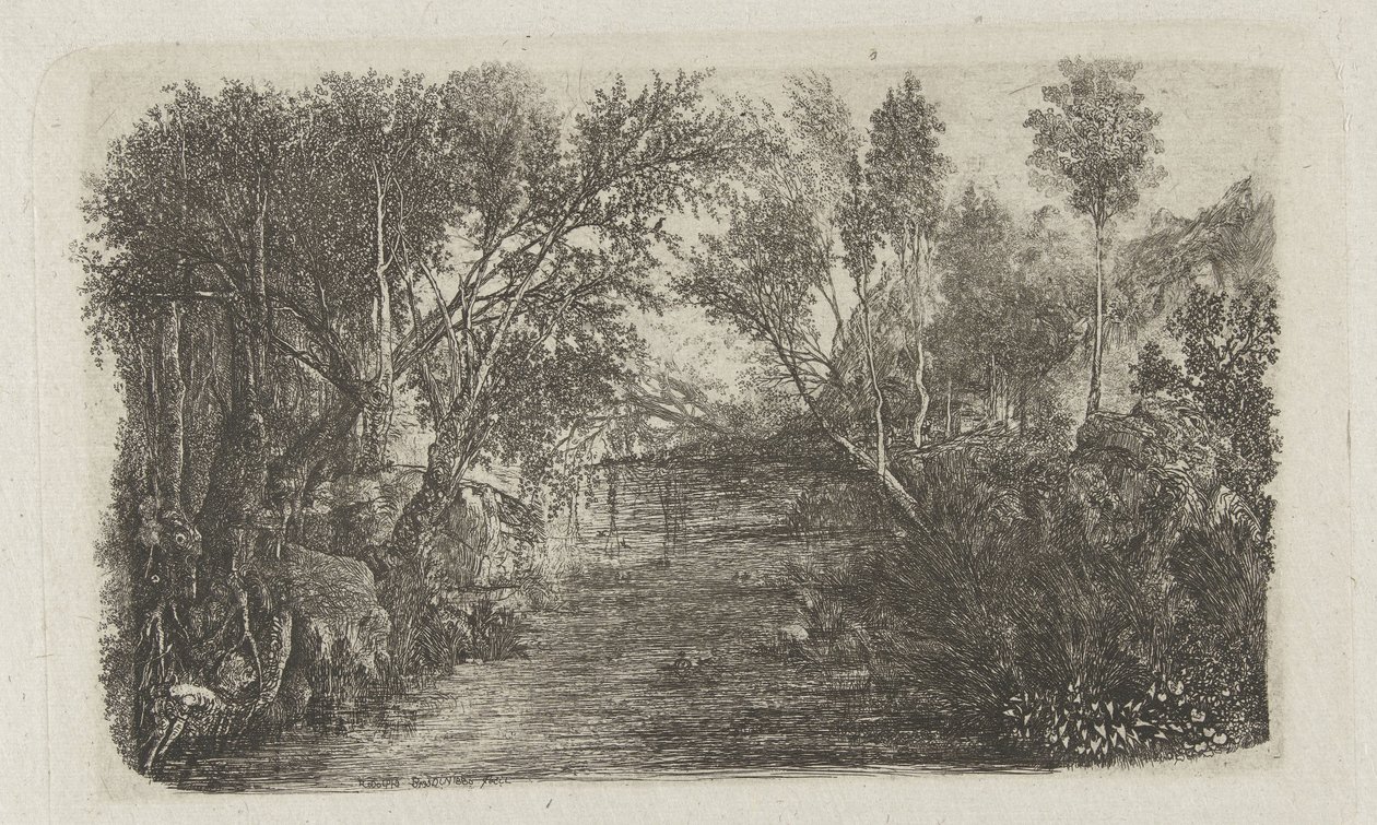 Landschaft mit Bach und Bäumen an den Ufern von Rodolphe Bresdin