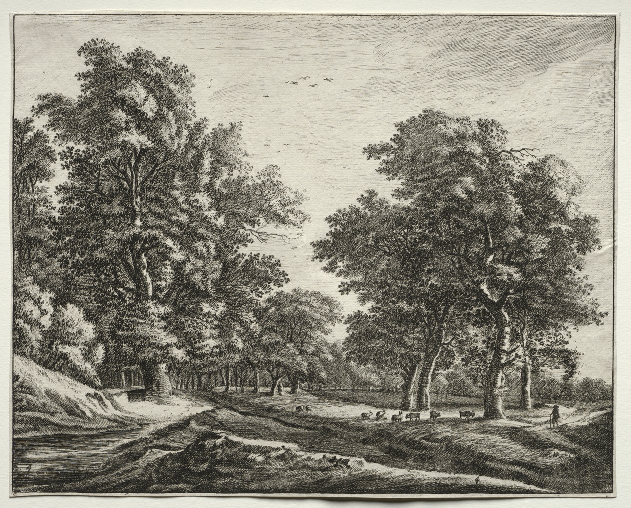 Sechs Ansichten im Wald von Den Haag: Tafel 4, Ziegen unter den Bäumen von Roelant Roghman
