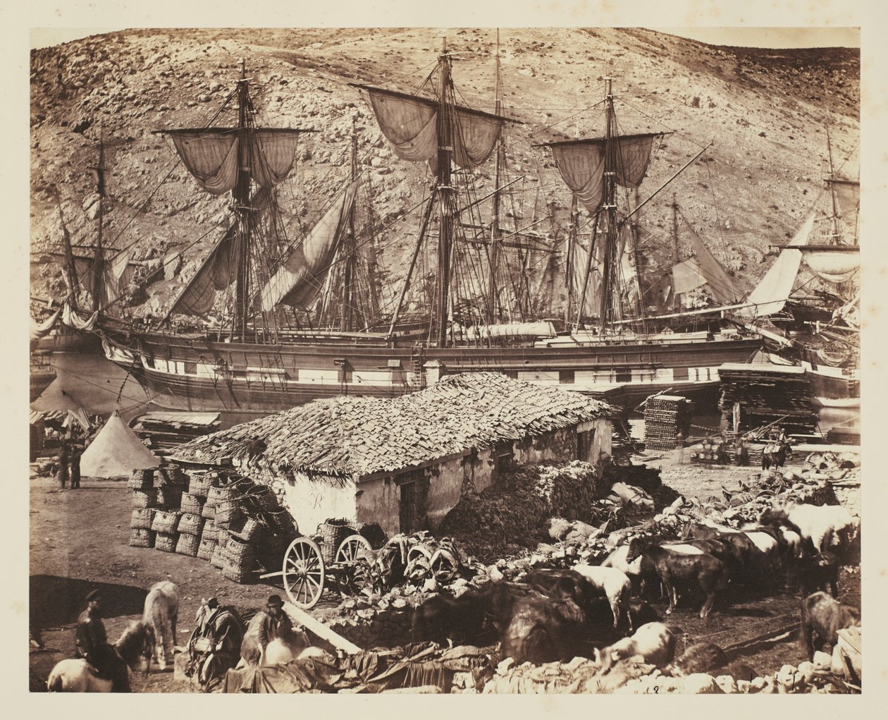 Hafen von Balaklawa, Der Vieh-Pier von Roger Fenton