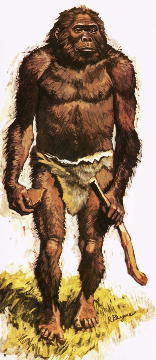Prähistorischer Mensch von Roger Payne