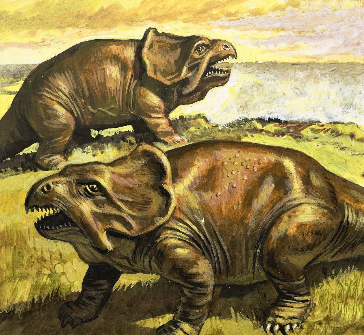Protoceratops, Illustration aus 