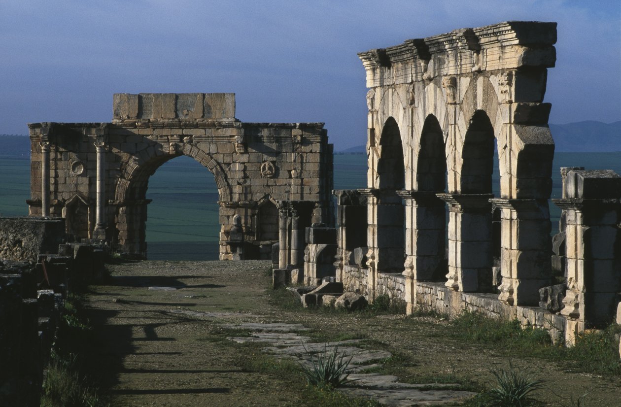Portikus am Decumanus Maximus und Triumphbogen von Caracalla von Roman