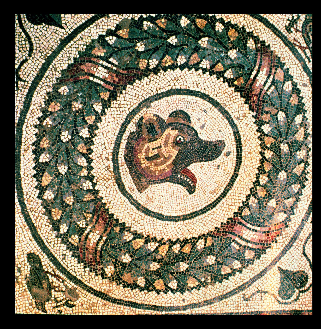 Bärenkopf, römisches Mosaik, frühes 4. Jahrhundert von Roman