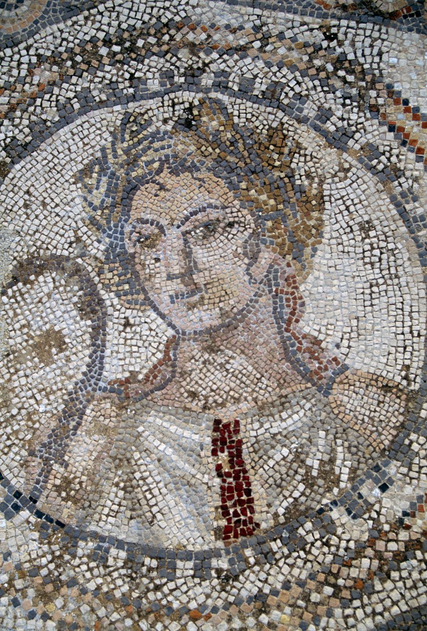 Weibliches Gesicht, Mosaik in der römischen Stadt Volubilis von Roman