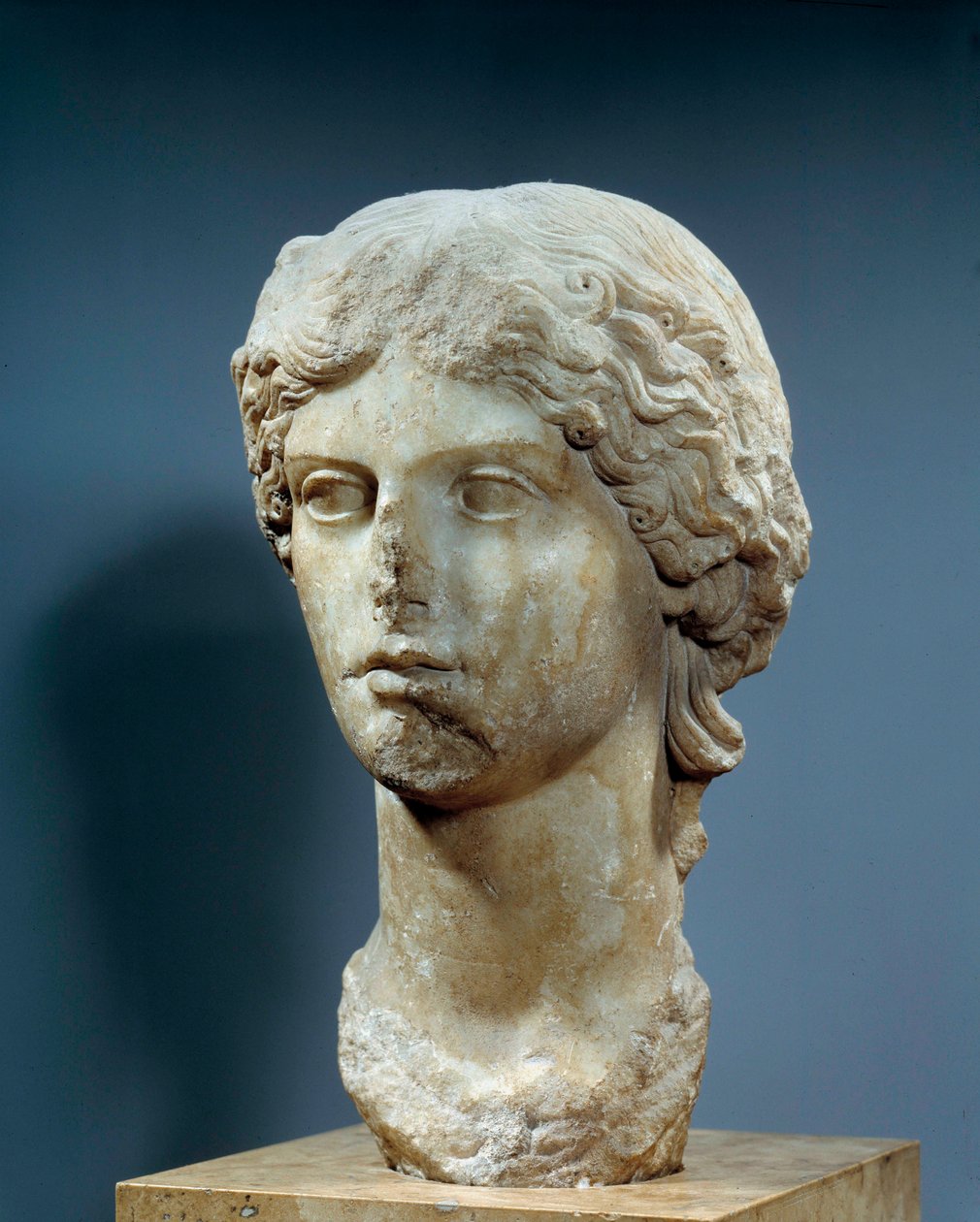 Kopf von Agrippina der Älteren, Frau von Germanicus, Enkelin von Augustus, Tochter von Agrippa und Julia und Mutter von Caligula. Marmorskulptur von Roman