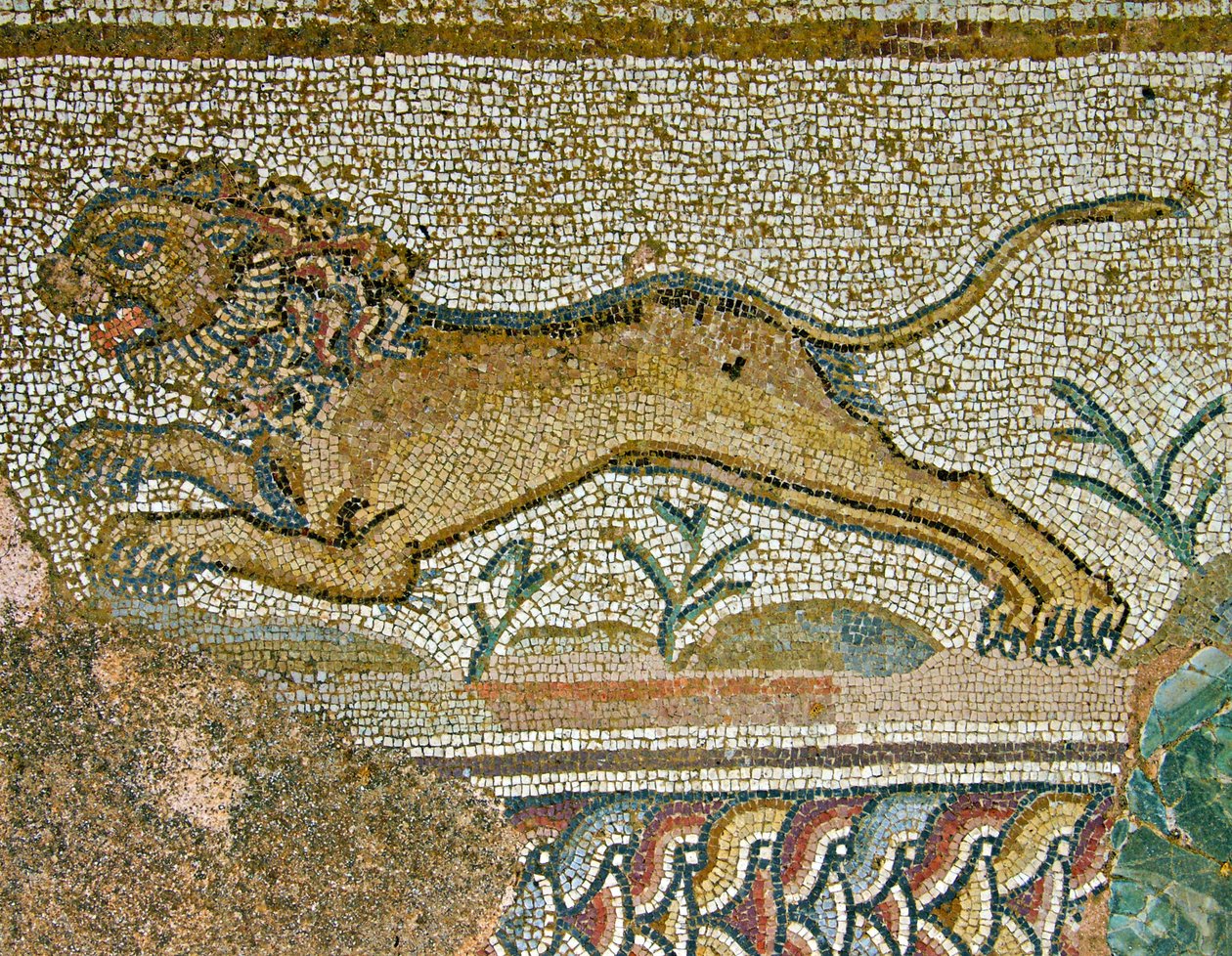 Jagdszene, Detail eines Löwen, Haus des Dionysos, Paphos, Zypern von Roman