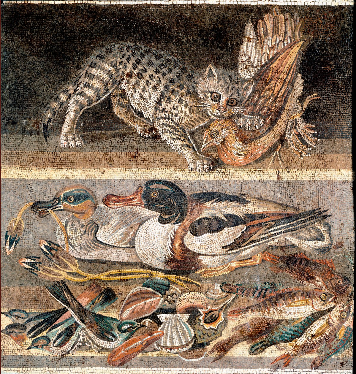 Römische Kunst: Katze frisst ein Rebhuhn und Wildenten Erste Hälfte des 1. Jahrhunderts v. Chr. Rom, Museo Nazionale Romano von Roman