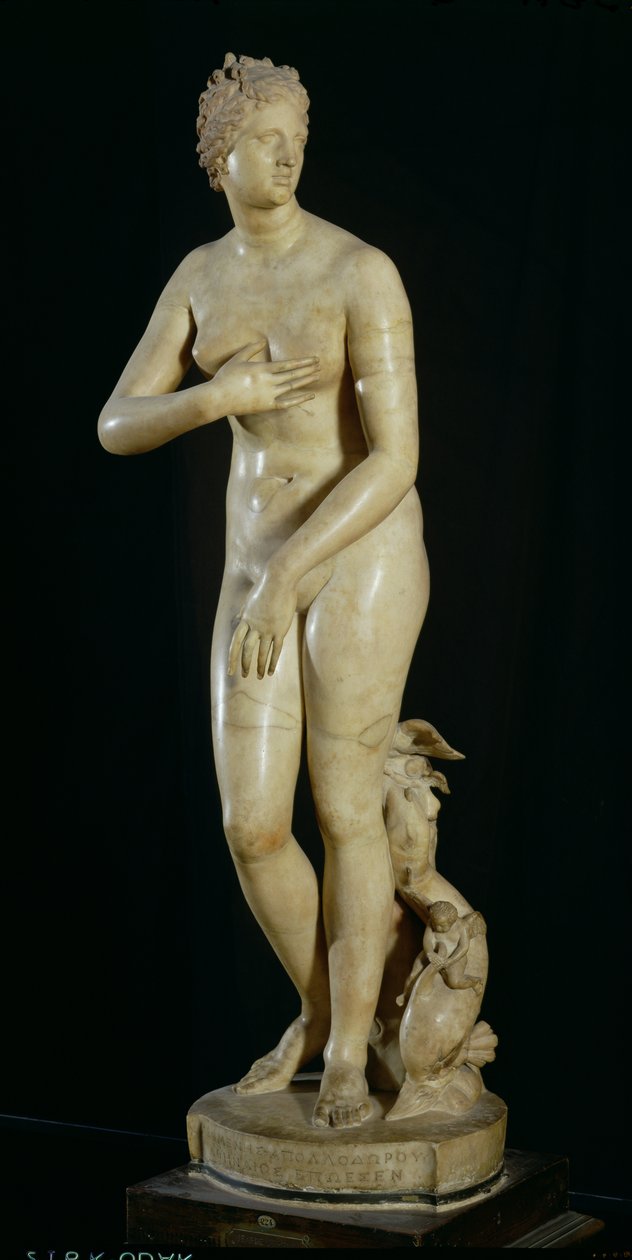 Die Medici-Venus, Kopie des hellenistischen Originals von Praxiteles von Roman