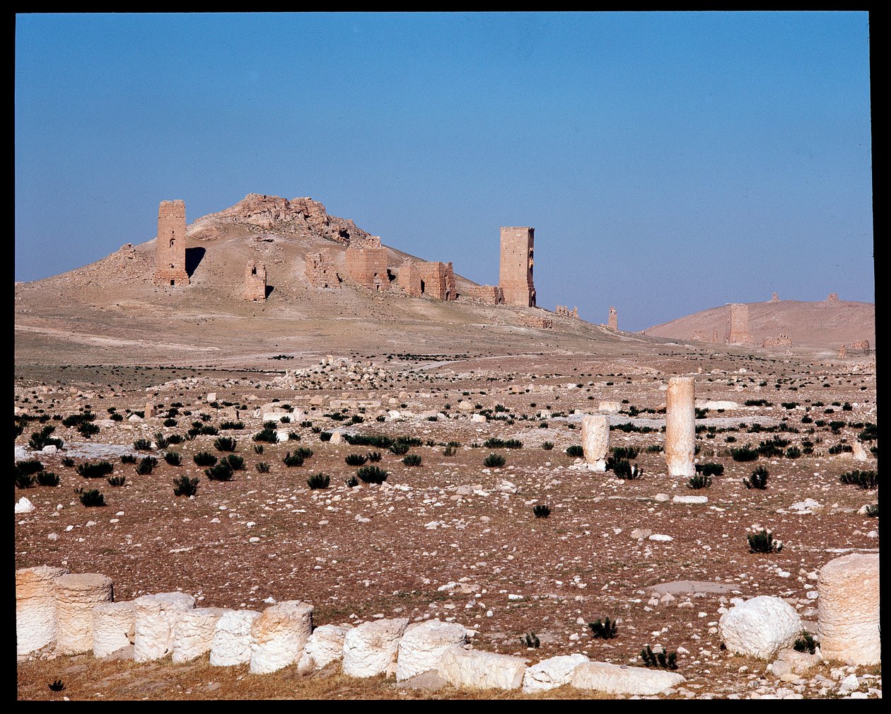 Ansicht der Turmgräber von Iamblichus und Elahbel von Roman