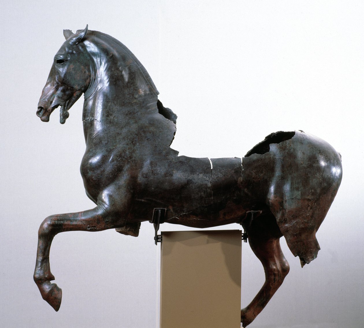 Pferd (Bronzeskulptur nach einem griechischen Original aus dem 4. Jahrhundert v. Chr.) von Roman Roman