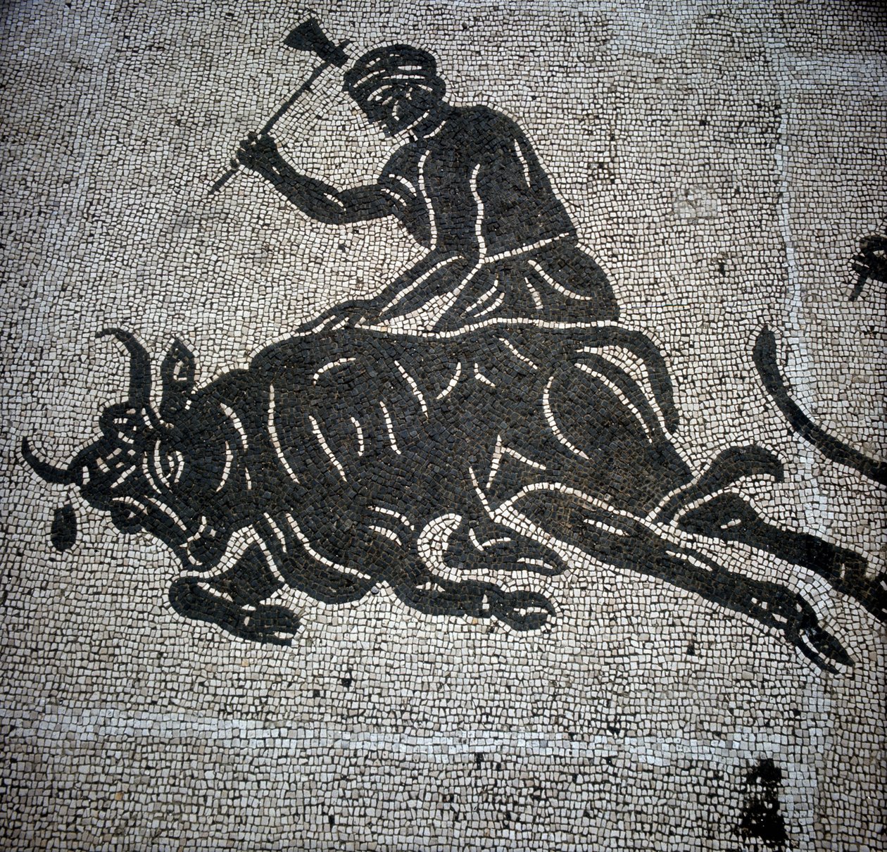 Mosaik, das eine Szene der Stierschlachtung darstellt und in Ostia (bei Rom) gefunden wurde. Derzeit im ehemaligen Feuerwehrhaus von Ostia aufbewahrt. von Roman Roman