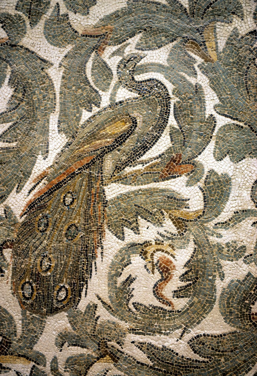 Pfau, Detail des Mosaiks - 4. Jahrhundert n. Chr., Bardo Museum, Tunis von Roman Roman