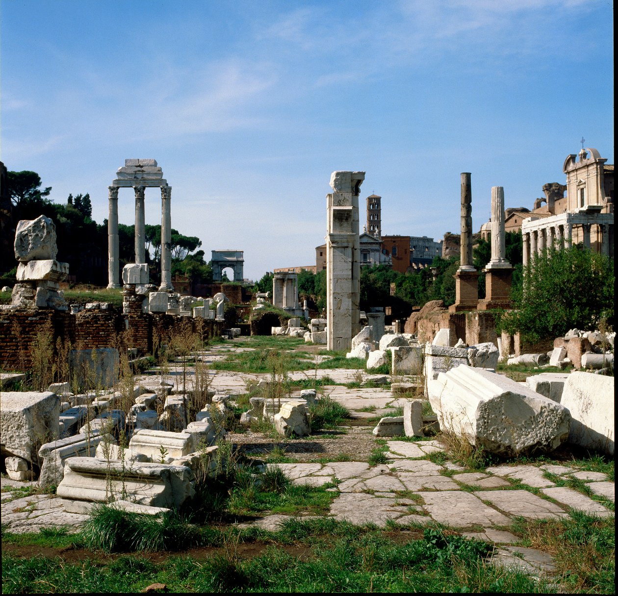 Römische Kunst: Blick auf das Forum (foro romano). Rom von Roman Roman
