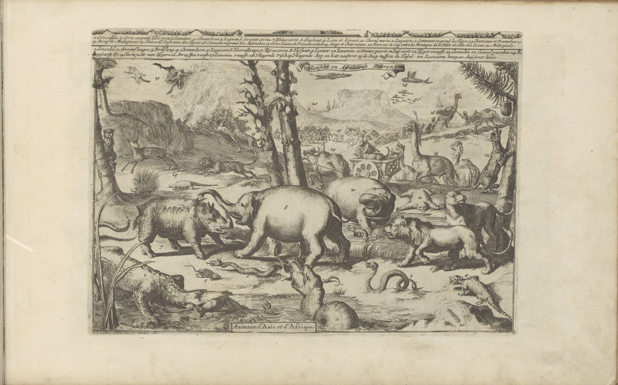 Asiatische und afrikanische Tiere von Romeyn de Hooghe