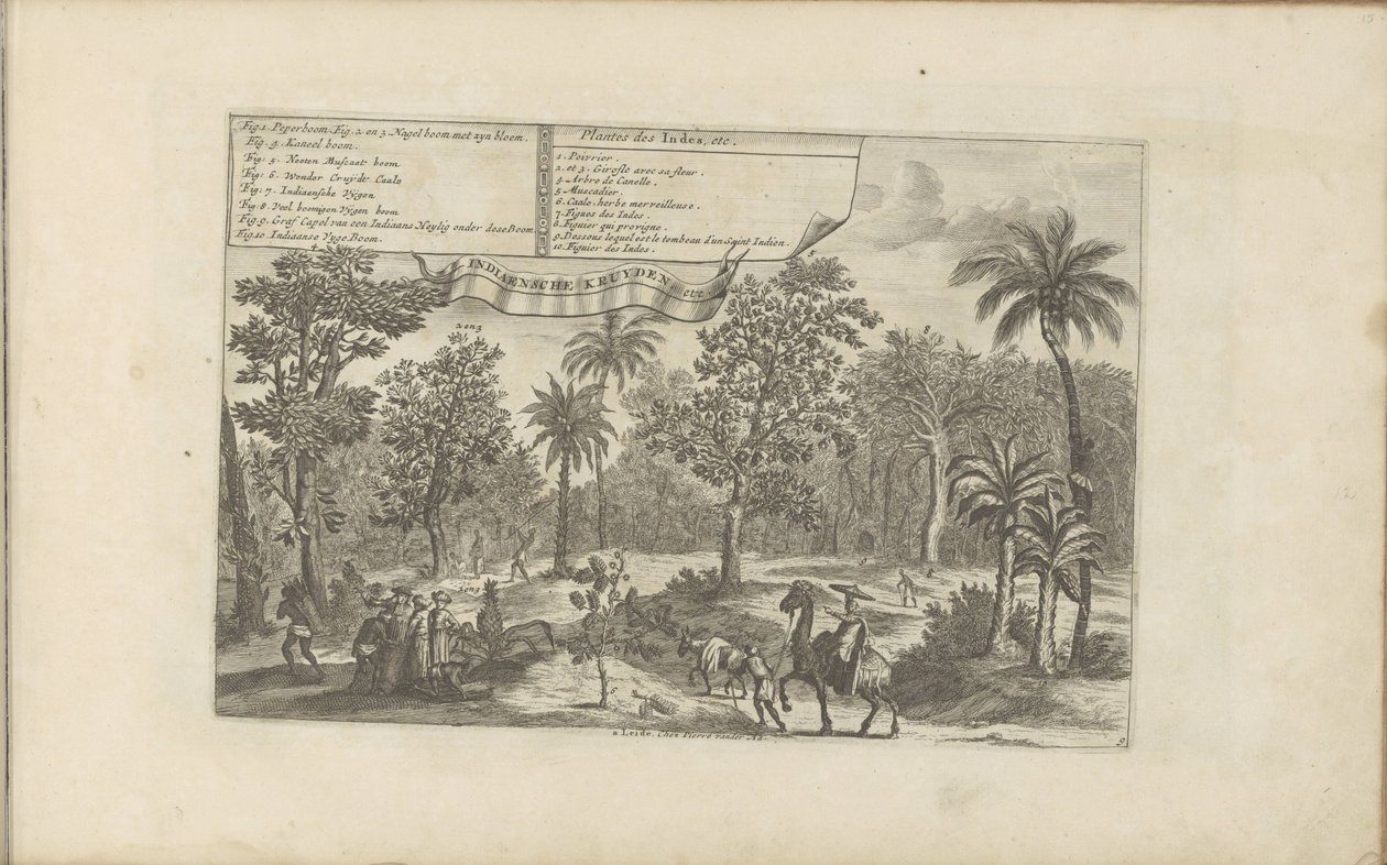 Bäume und Gewürze von Romeyn de Hooghe