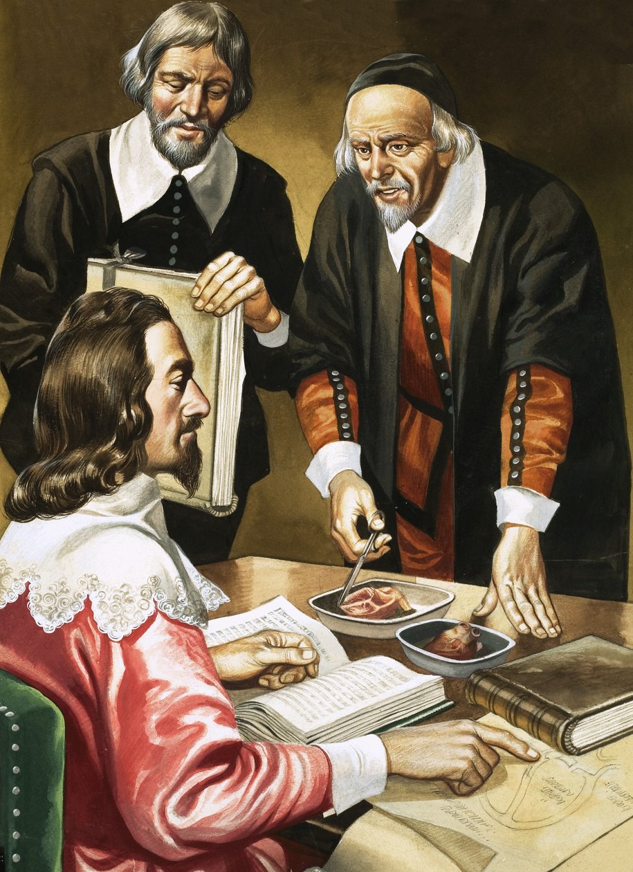 Karl I. und William Harvey diskutieren über das Herz von Ron Embleton