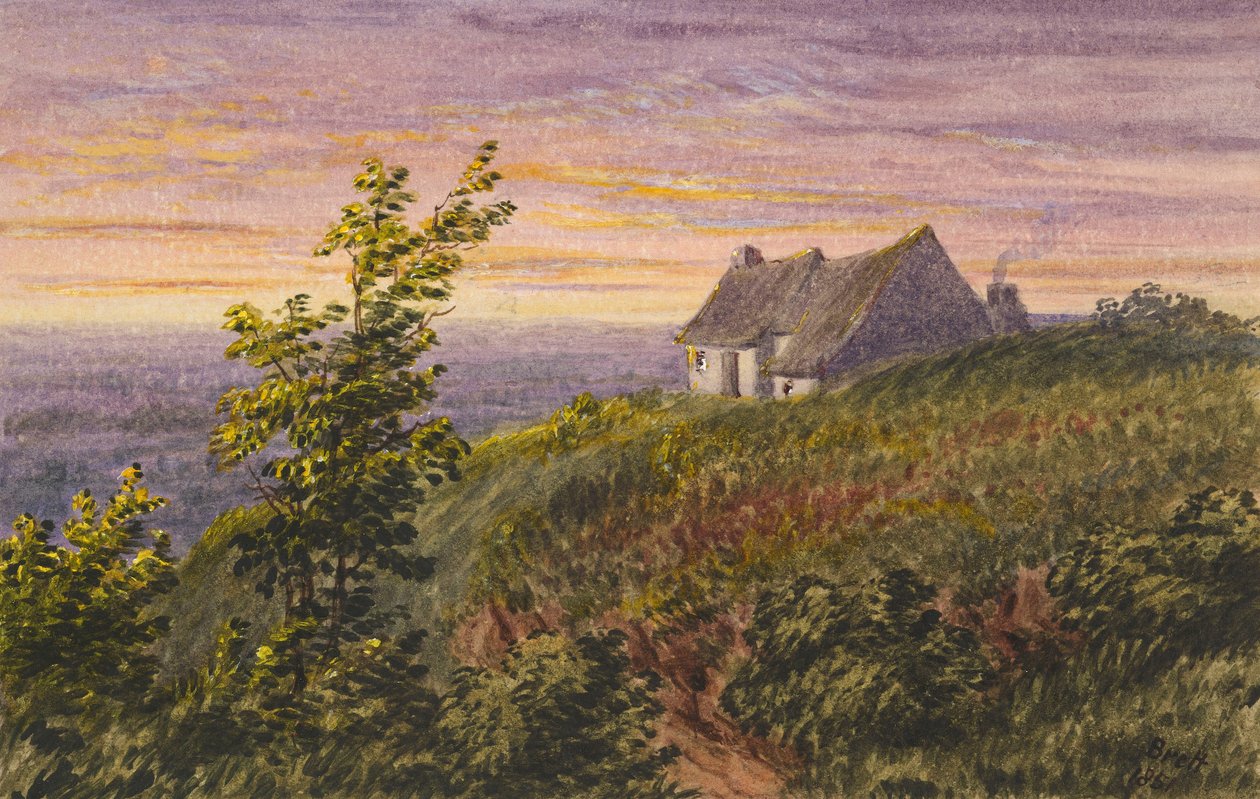 Von Bluebell Hill von Rosa Brett