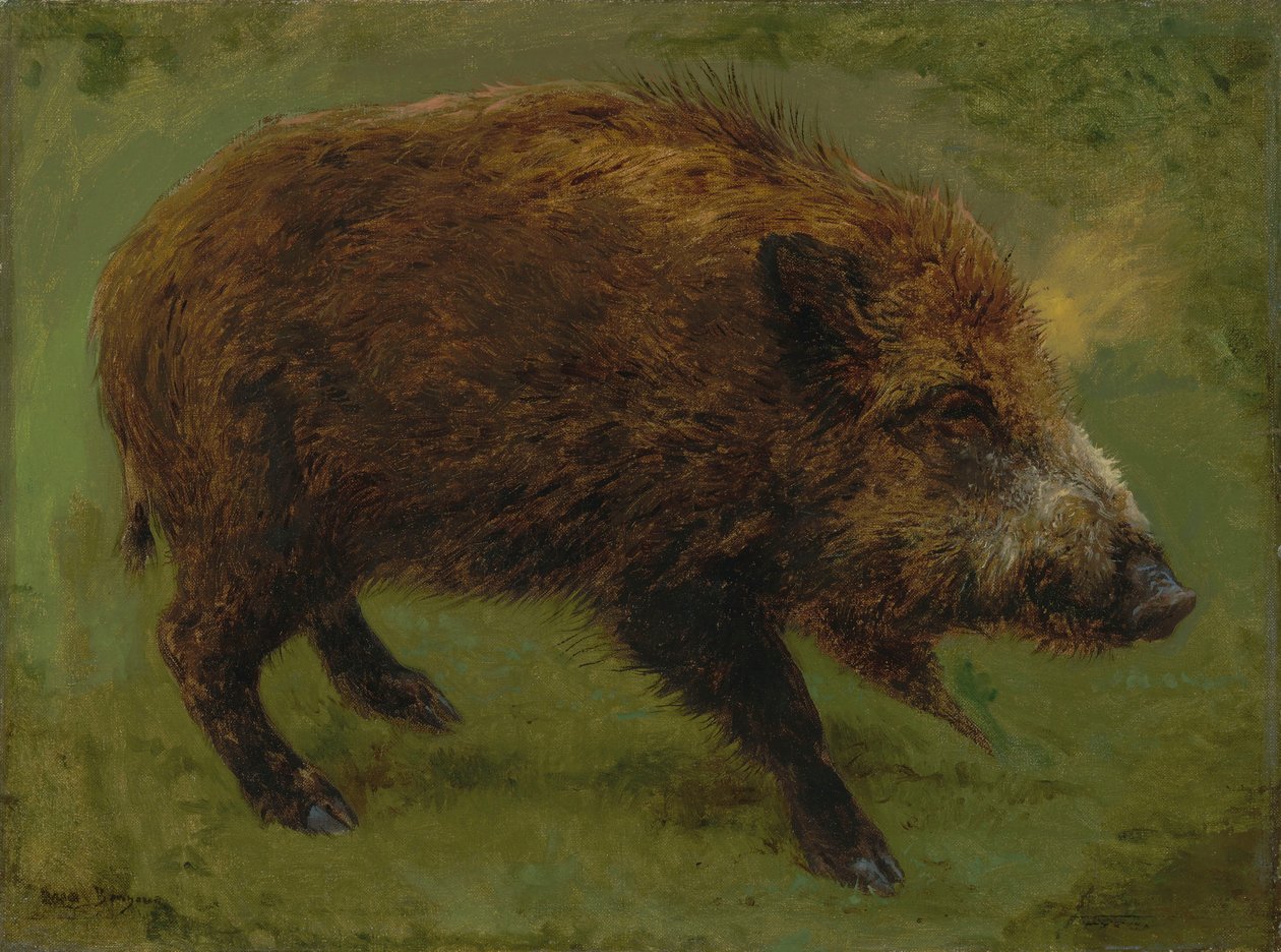 Le sanglier von Rosa Bonheur