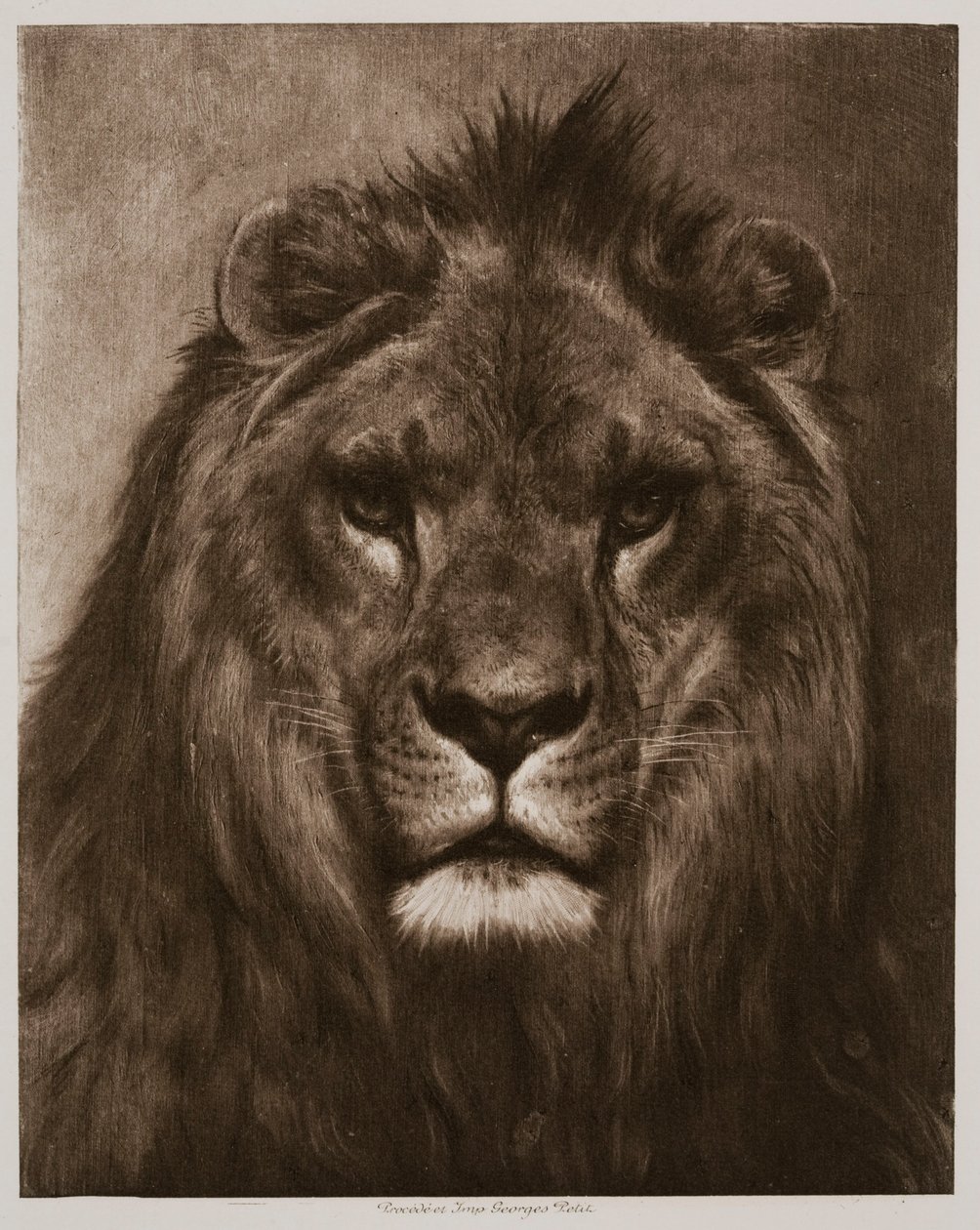 Löwe von Rosa Bonheur