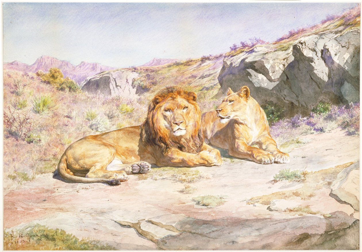 Königliche Familie zu Hause von Rosa Bonheur