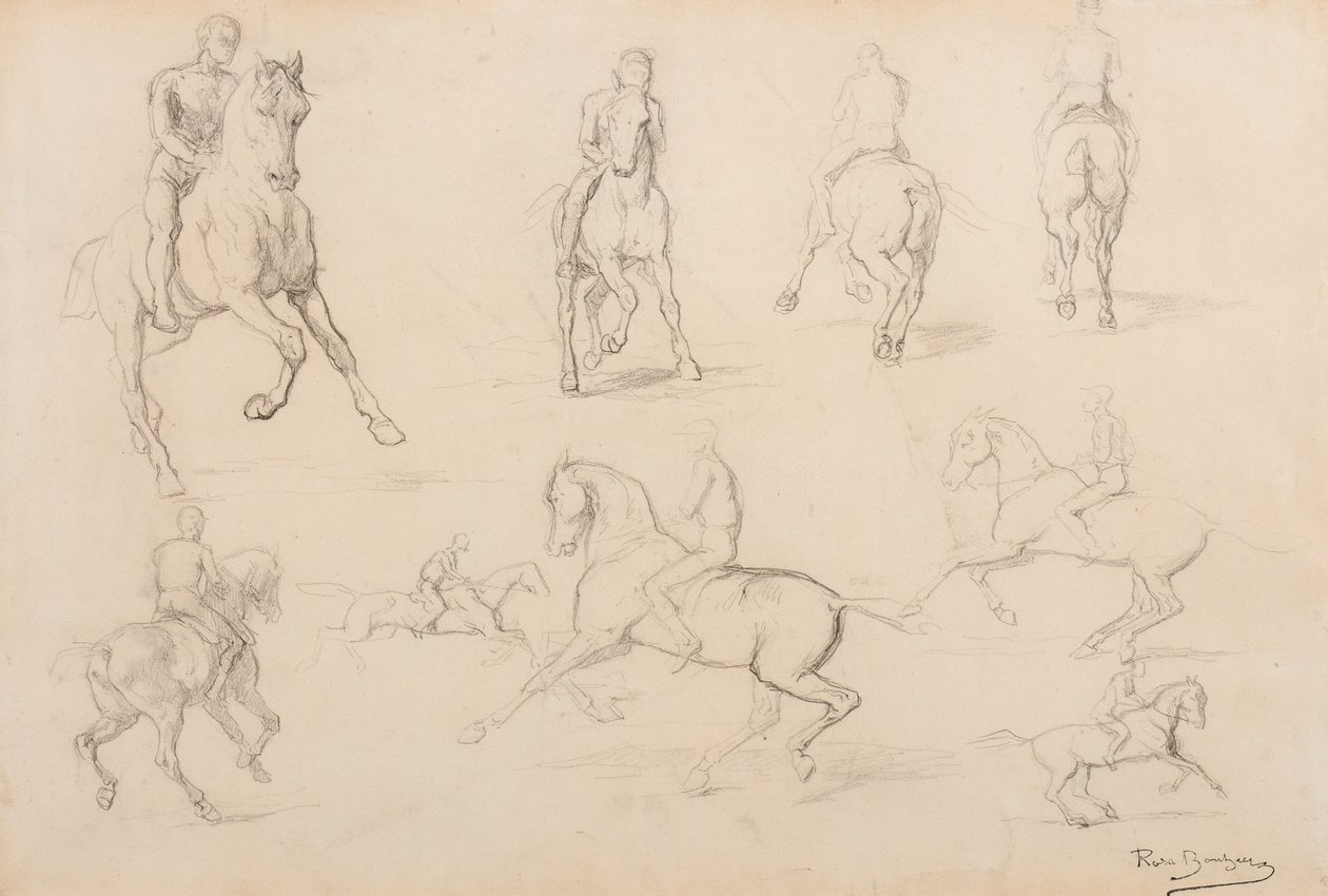 Studien eines Pferdes und Reiters von Rosa Bonheur