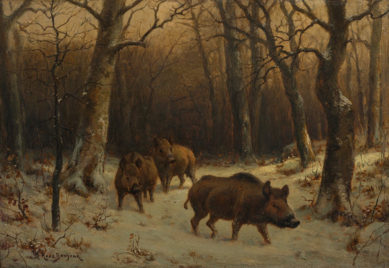 Wildschweine im Schnee, ca. 1872-77 (Öl auf Holztafel) von Rosa Bonheur