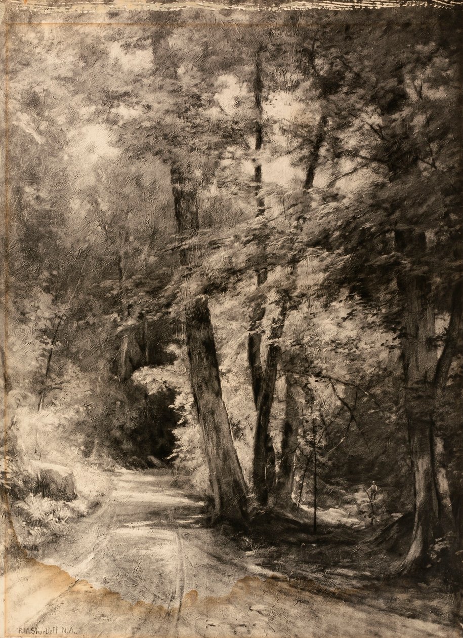Photogravur einer Waldszene von Roswell Morse Shurtleff