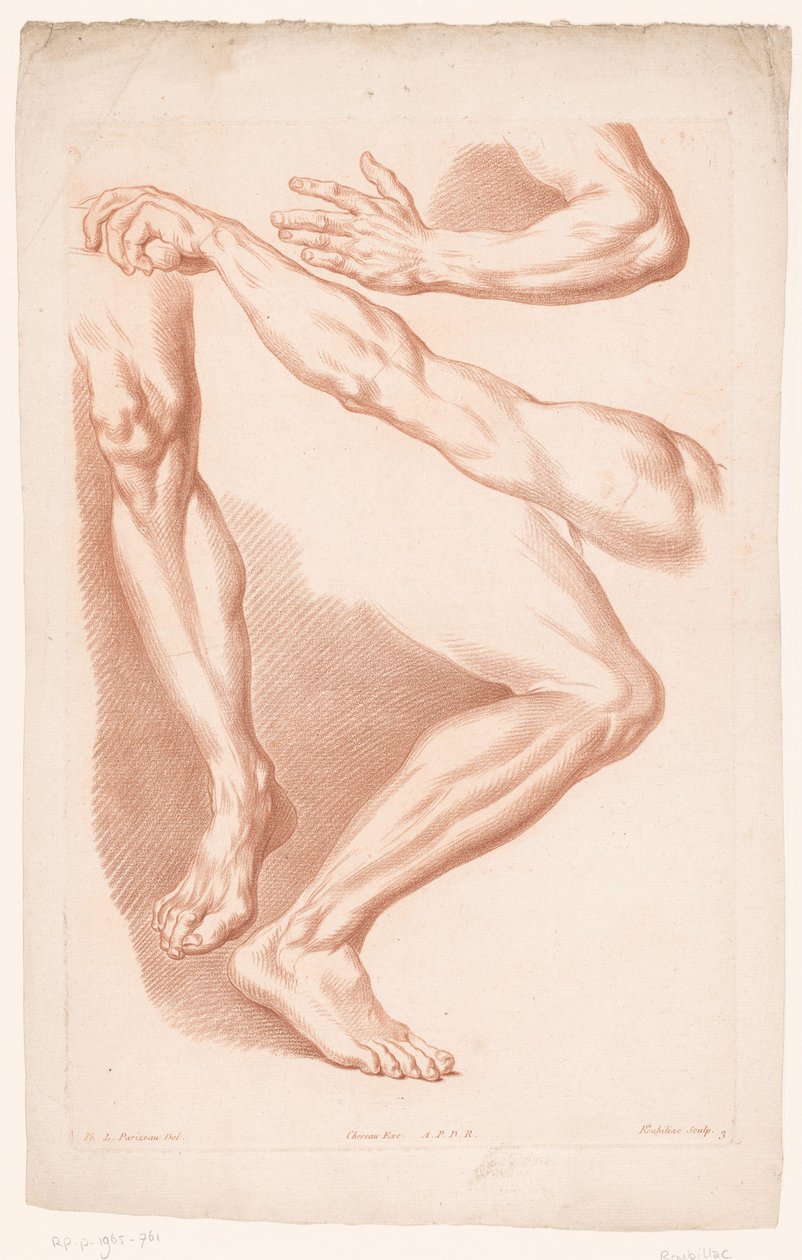 Verschiedene Ansichten von zwei Beinen und zwei Armen (Prinzipien des Zeichnens nach der Natur, Teil sieben) von Louis François Roubillac