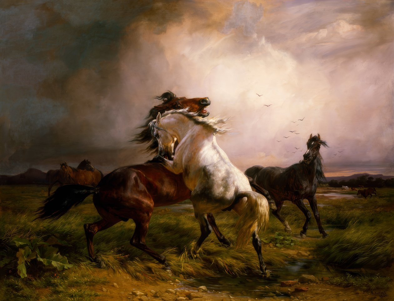 Kämpfende Wildpferde von Rudolf Koller