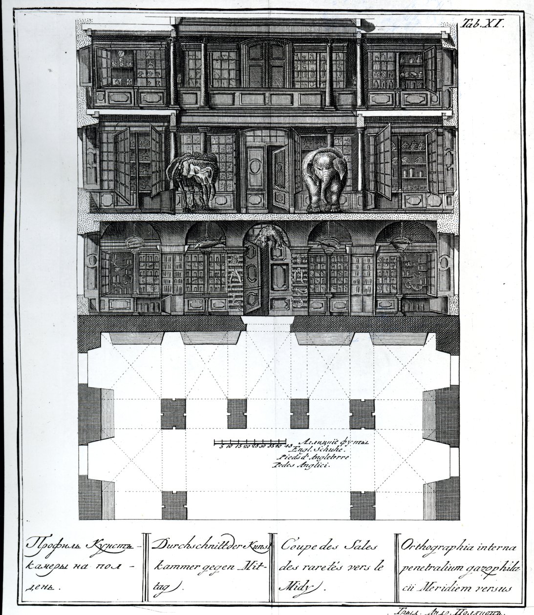 Querschnittsansicht der Halle der Raritäten nach Süden, Illustration in Chambers der St. Petersburger Kaiserlichen Akademie der Wissenschaften Bibliothek und Galerie mit Plänen, Fassaden und Profilen von Johann von Russian School