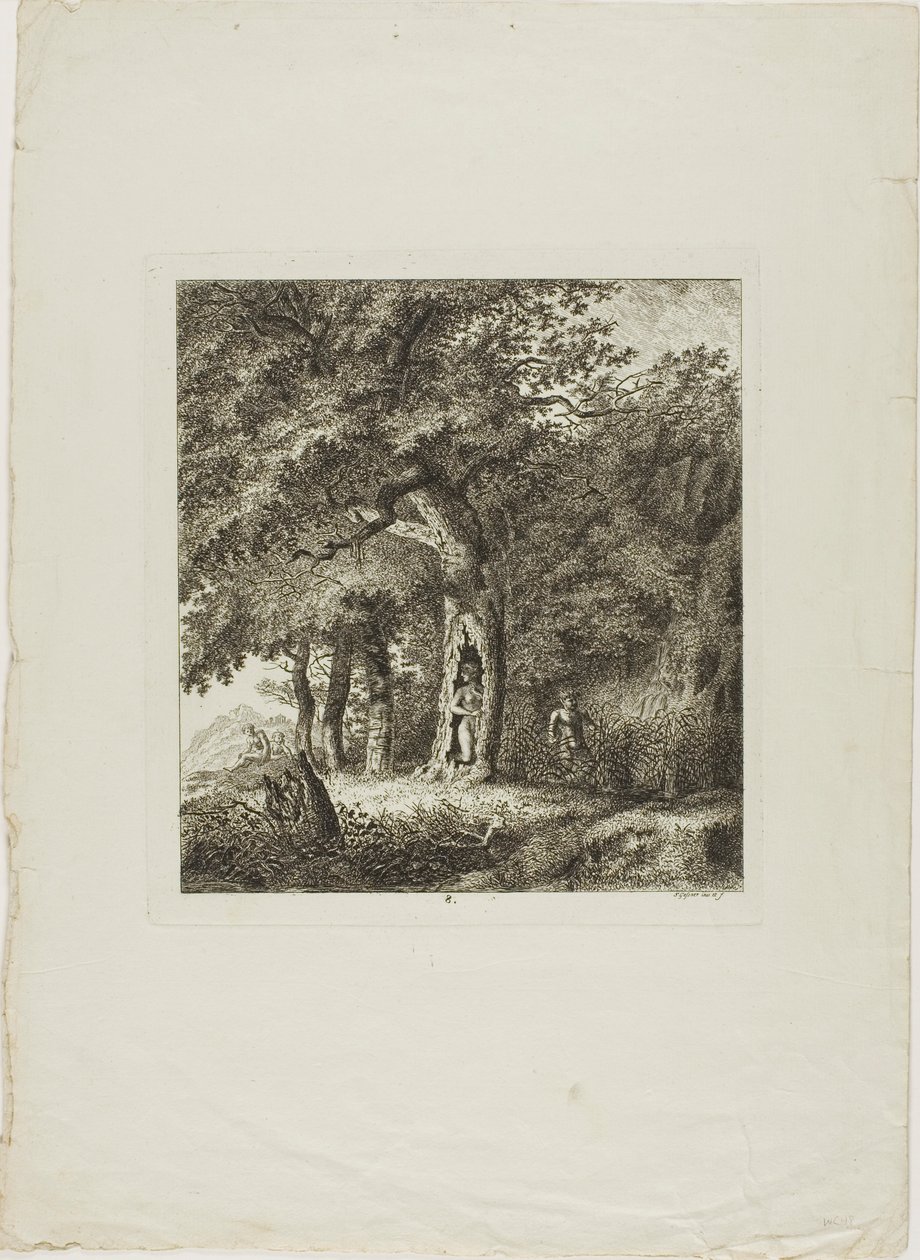 Nymphe, die sich in einem Baum versteckt, Platte acht aus Paysages Dédiés à M. Warelet von Salomon Gessner
