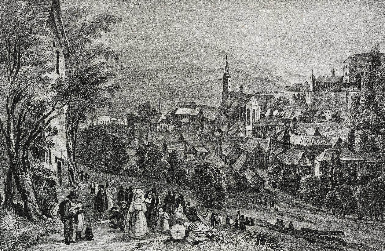 Ansicht von Baden, Schweiz, Lithographie von Salvatore Puglia aus Poliorama Pittoresco, Nr. 29, 26. Februar von Salvatore Puglia