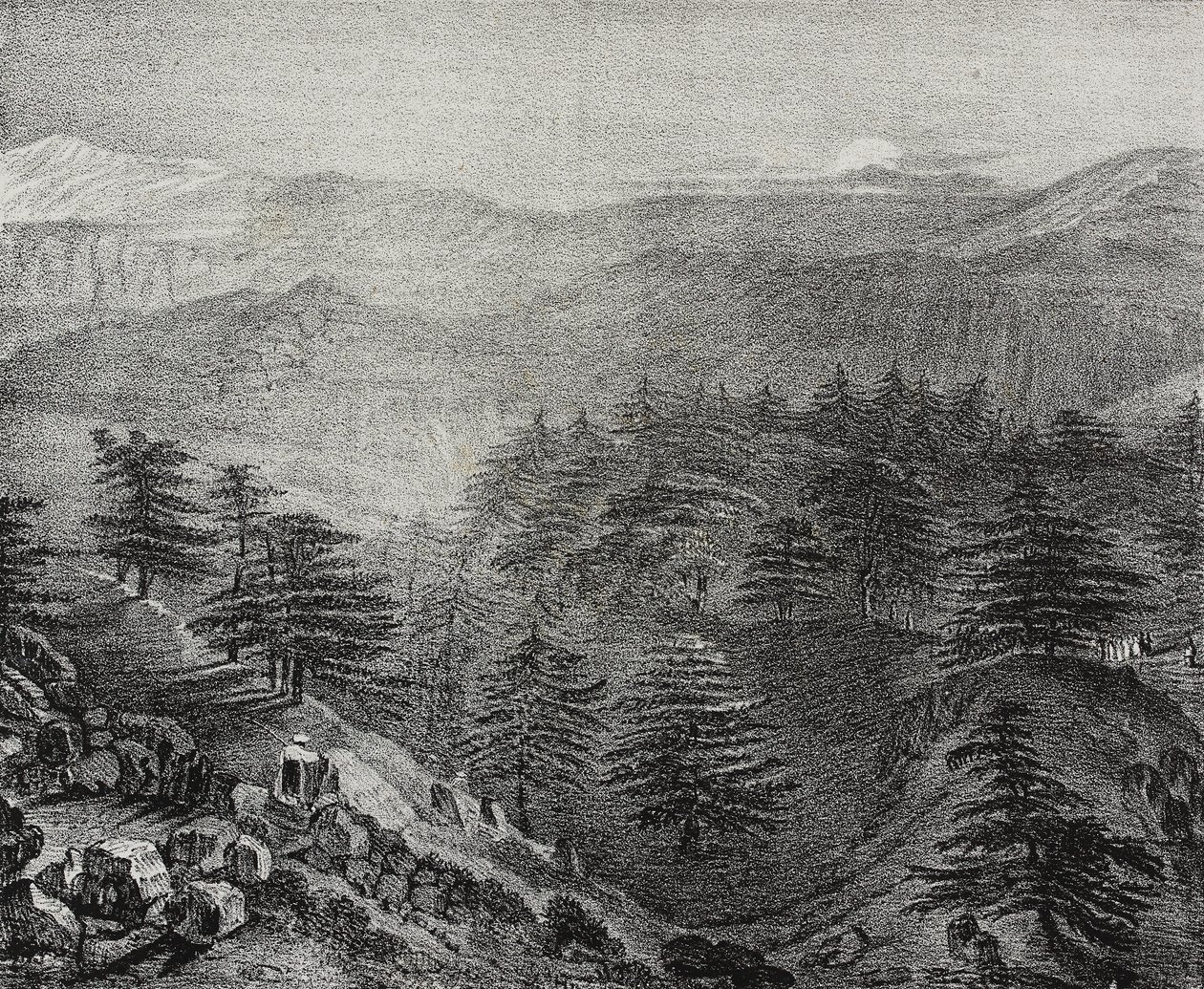 Ansicht des Libanongebirges mit seinen berühmten Zedern, Libanon, Lithographie von Salvatore Puglia aus Poliorama Pittoresco, Nr. 10, 15. Oktober von Salvatore Puglia