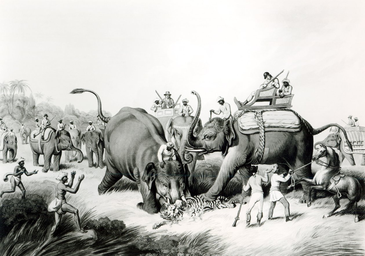 Der tote Tiger, graviert von H. Merke nach einem Originalentwurf von Captain Thomas Williamson, veröffentlicht von Edward Orme von Samuel (after) Howett