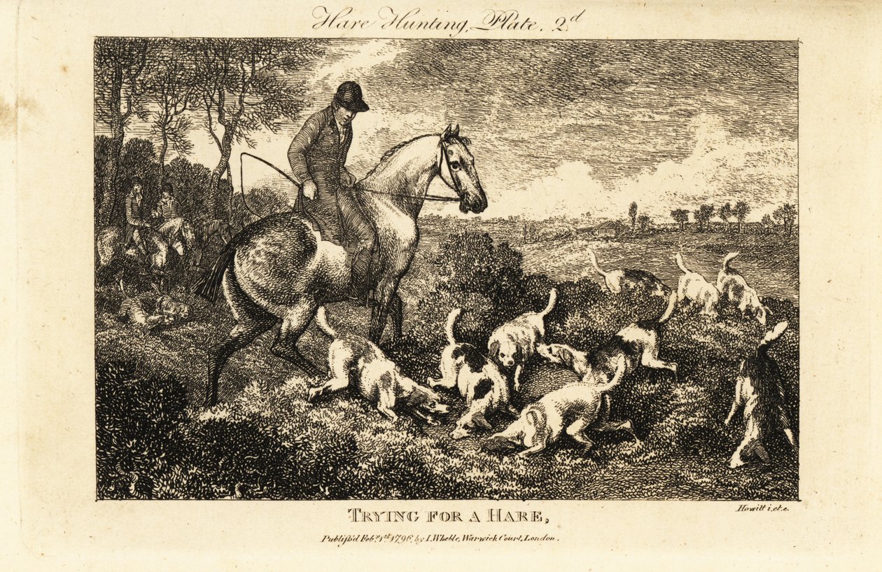 Berittener Jäger beobachtet ein Rudel Hunde, die nach Hasen graben von Samuel (after) Howitt
