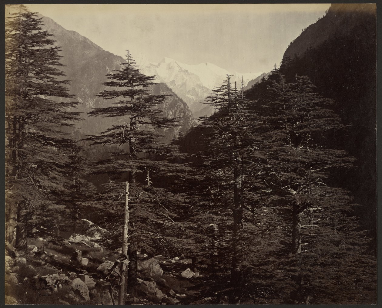 Schneebedeckte Gipfel bei Gangootri, von Bhairamghati aus von Samuel Bourne