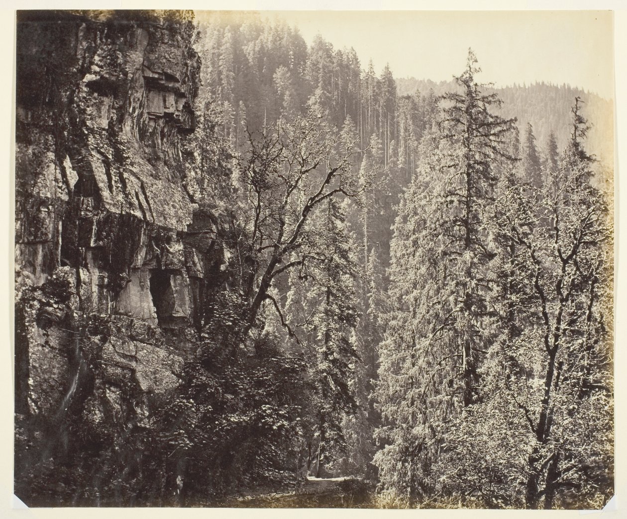 Ohne Titel von Samuel Bourne